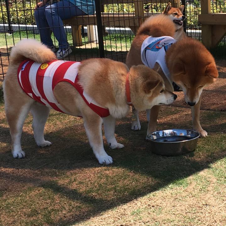 E09d7573 1ef7 4c48 86c2 36ef42c5d4c0 1560677198989