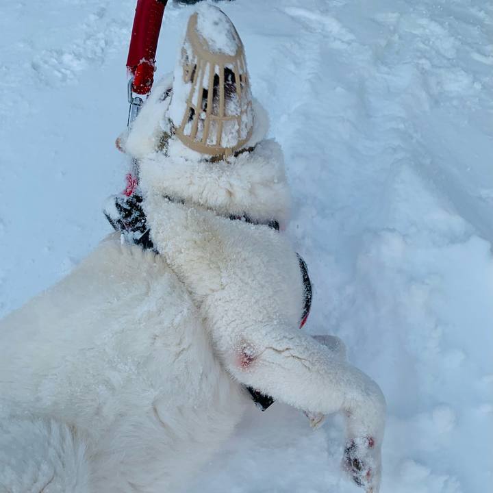 E09d9cec ee2d 4e23 a00b 34caef1e0d67 1676931676353