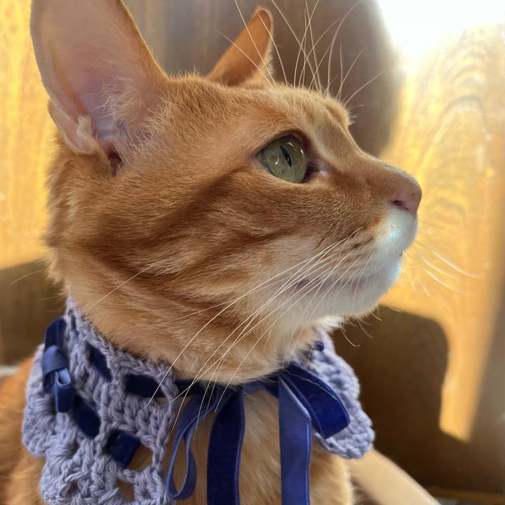 E09dd73e d223 46df 9aac db0541e025db 1744069929217