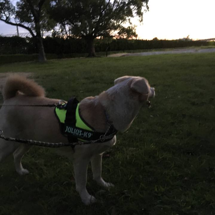 E09de8ac 3a5f 4f3a 874e b7f0156fba3c 1537619294129