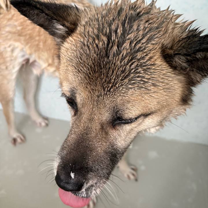 E09ded67 b9ea 4f6f 9cf7 f674cbd21c7c 1739003610638