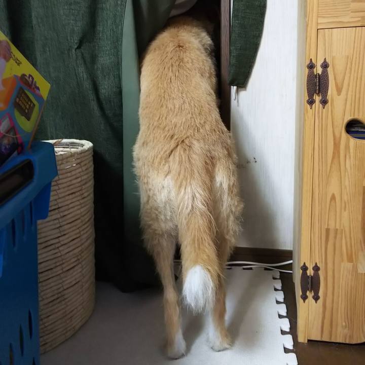 E09df148 4585 45bf b731 58e542a73c65 1564492824038