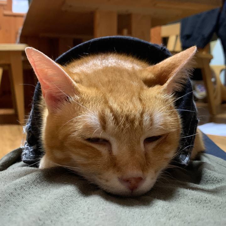 E09e4a94 b37f 4a96 ae88 49336e6f1224 1659194745657