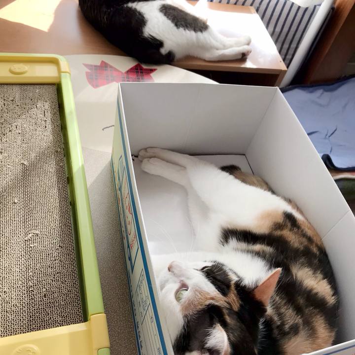 E09e69dd 3164 43d4 972a 604fa8e1a239 1536850417349