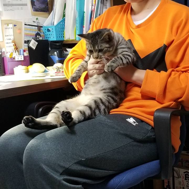 E09ec3a4 fe03 4dfb ac7b 373e5a42eb78 1685188000543