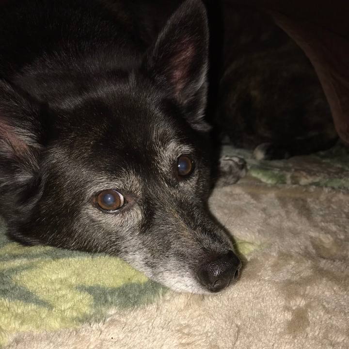 E09ede2f 153a 41ed a37c 2287a1f2e81b 1526551685656