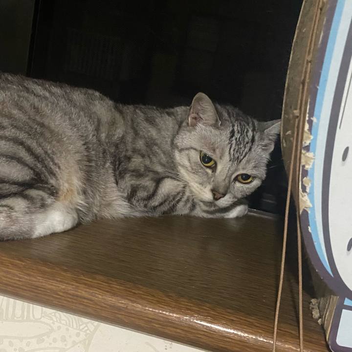 E09f1805 9000 4c81 98e9 e7cf364f5b81 1752419302874