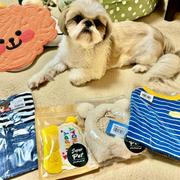 E09f44c1 25e9 49ec 8dd9 49e7e5c2f371 1719911818160