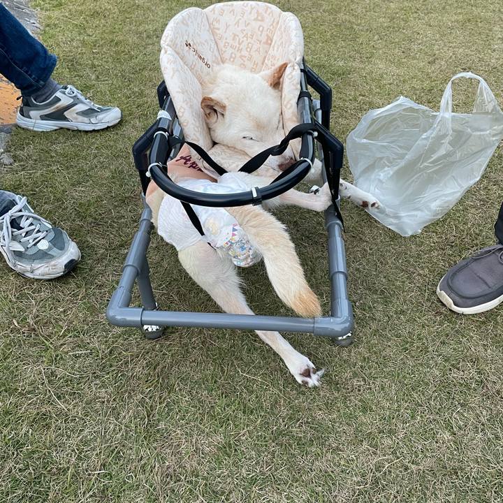 E09f6266 f0d7 484a a158 747322cd9868 1668680965310