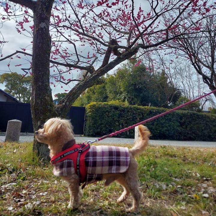 E09f77a5 7aad 4f26 95bd 84eacb82c800 1708176830730