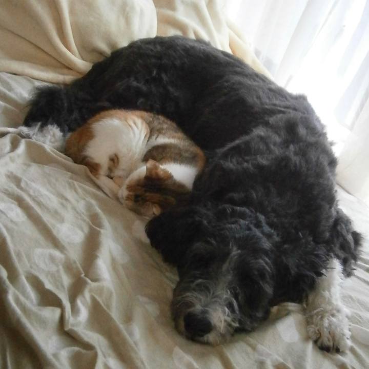 E09f77d0 9a20 4df7 9d61 2c620dbb827f 1603670743985