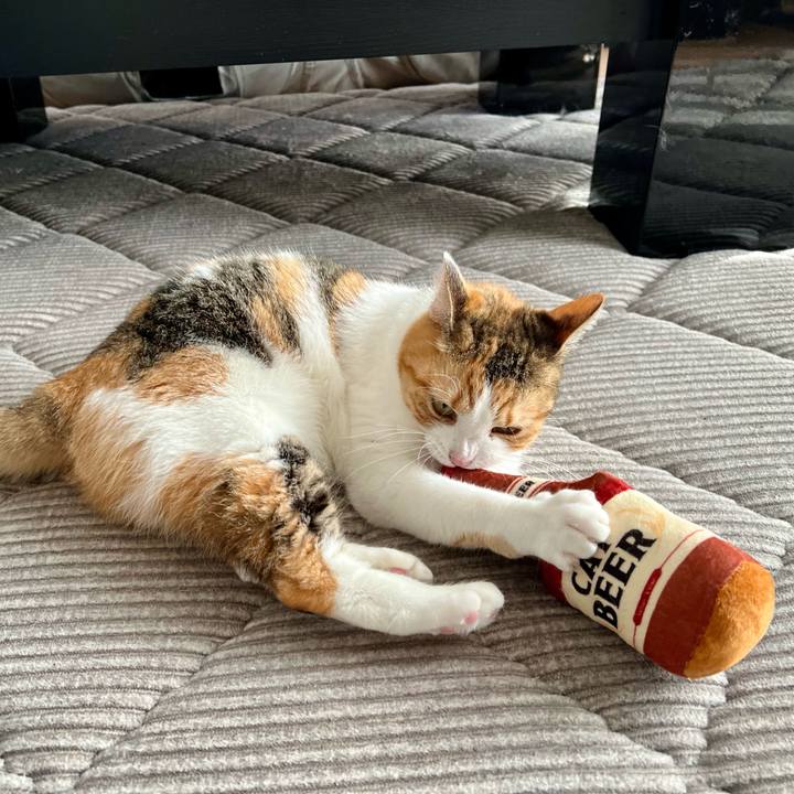 E09f8681 3528 4102 96b6 fe04c526113a 1766460263402