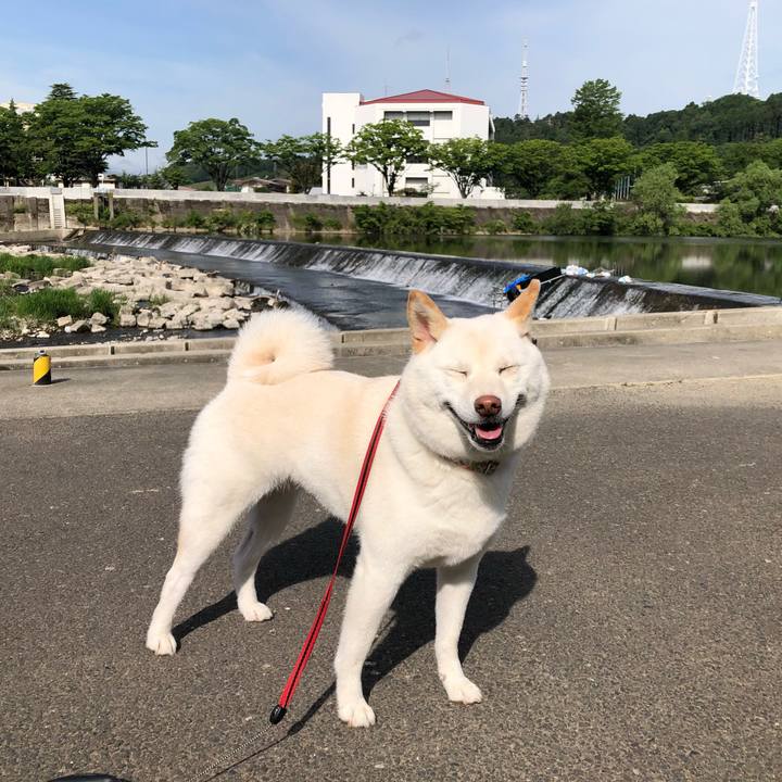 E09f8c98 f98b 4553 95b1 e34cd2b3d455 1590992227184