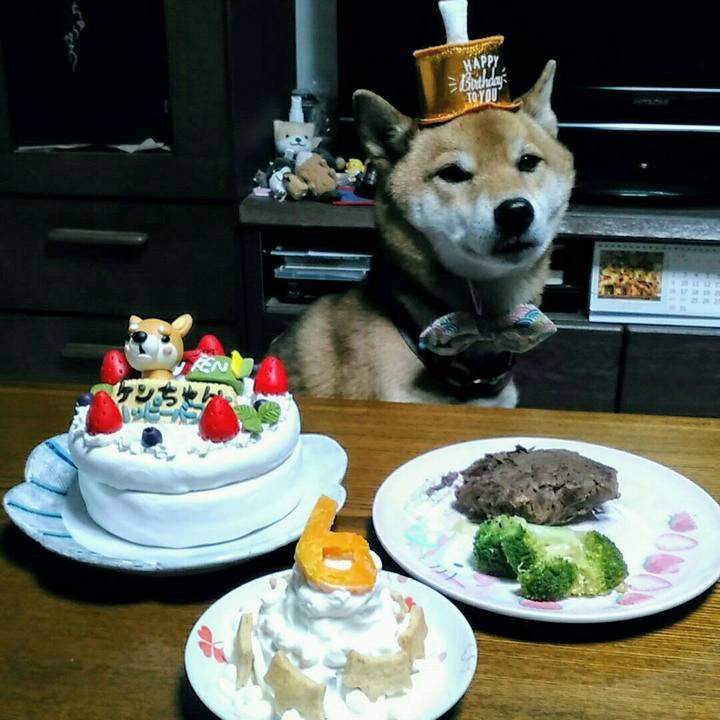 E09fa716 63be 4d8a 8eba 85837bee1a32 1544342636972