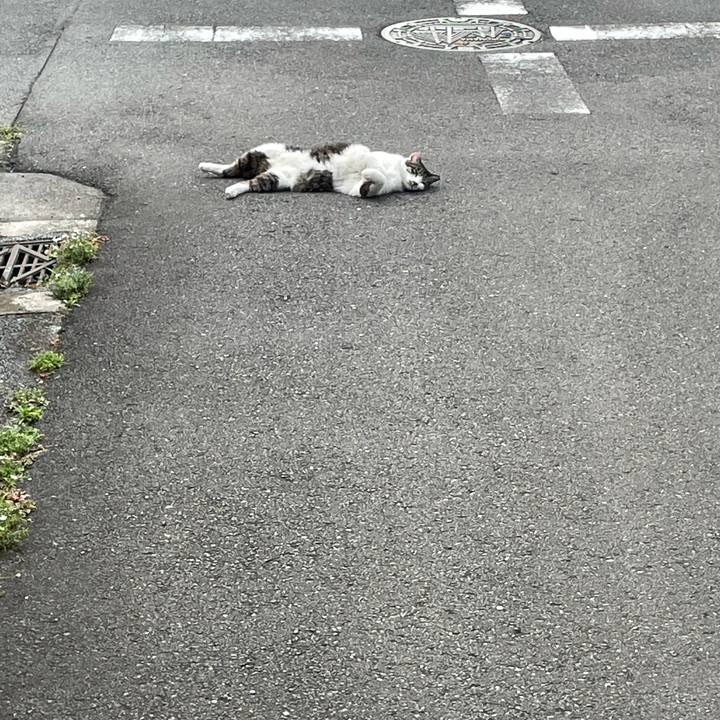 E09fdad8 4e83 443f 8575 e46837dcea35 1624965454939