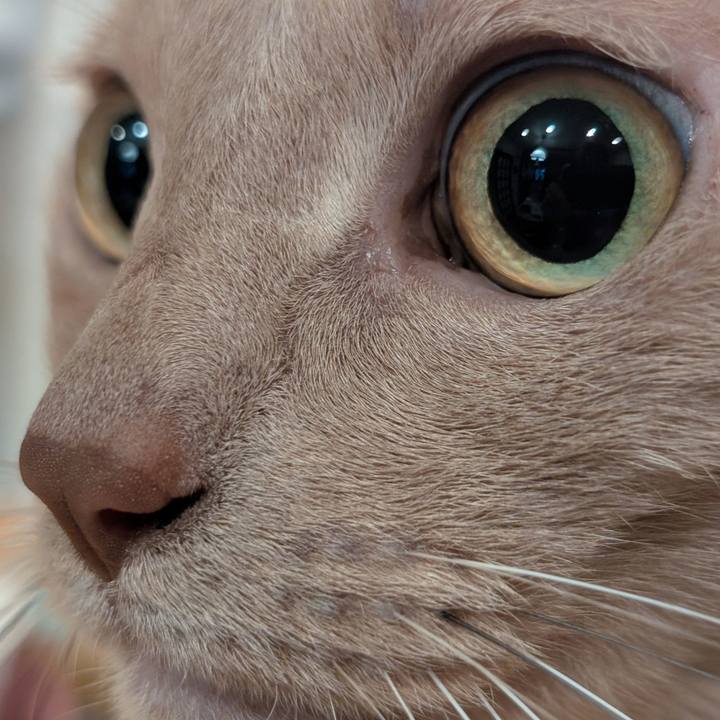 E09fef5a dfed 48e1 ad2f cacc94614d9e 1768005504805