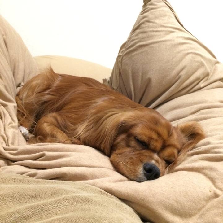 E0a05b51 8792 49ec ba8c ccca6321a91d 1576764734061