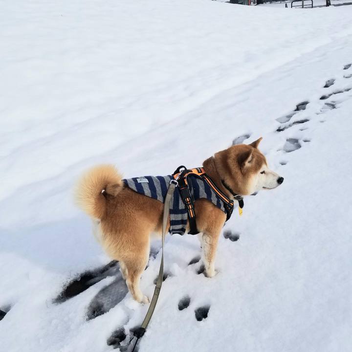 E0a0a051 1991 4b6c 901d ba6761432b72 1638072893622