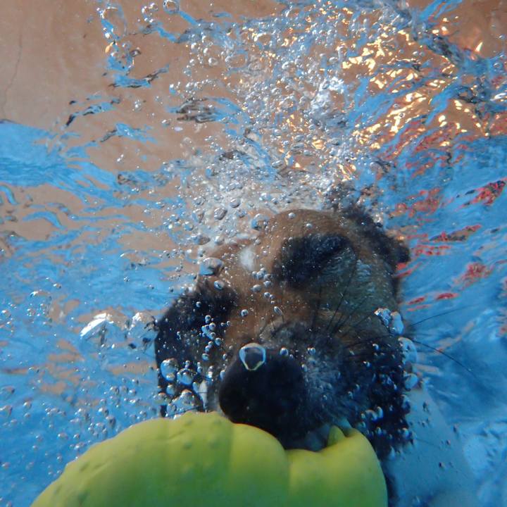 E0a0b254 4408 46ab 961e 648f38eba803 1525992268572