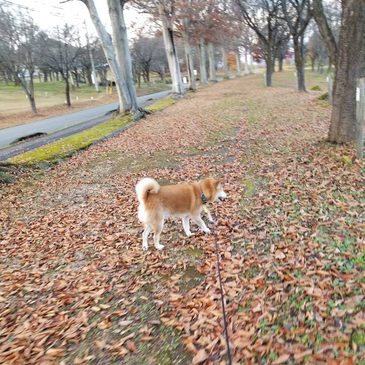 E0a0b4b8 779a 4123 9516 9eb9800a9b1f 1668409360362