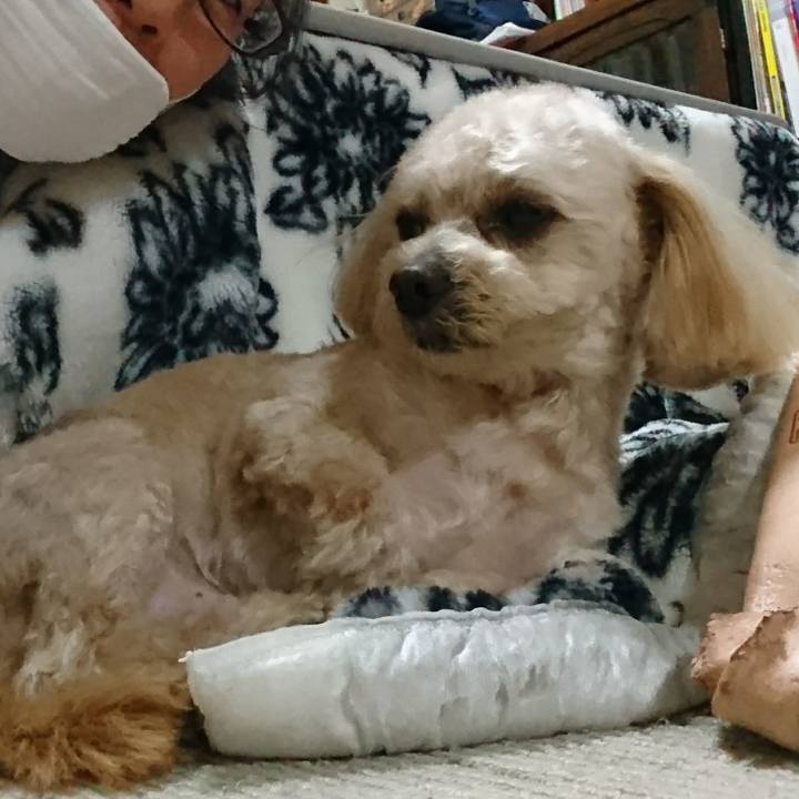 E0a0b975 426b 488d a011 3222ef2e5f5e 1555156736276