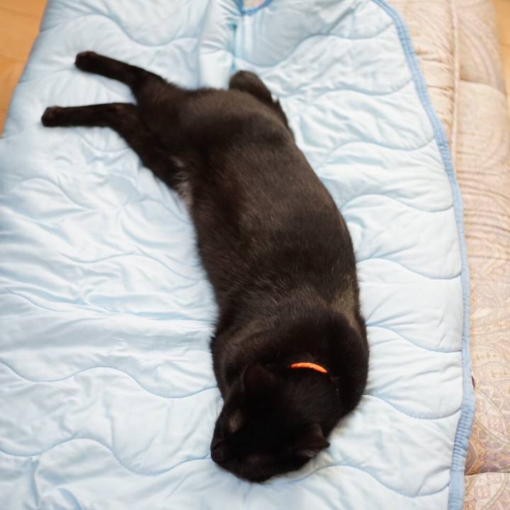 E0a0c390 6644 4ea7 abfa 667798197b63 1522798906386