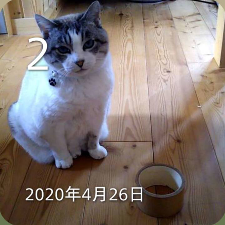 E0a0d4d3 c4db 4793 bdcb 9048a0556821 1777708699373