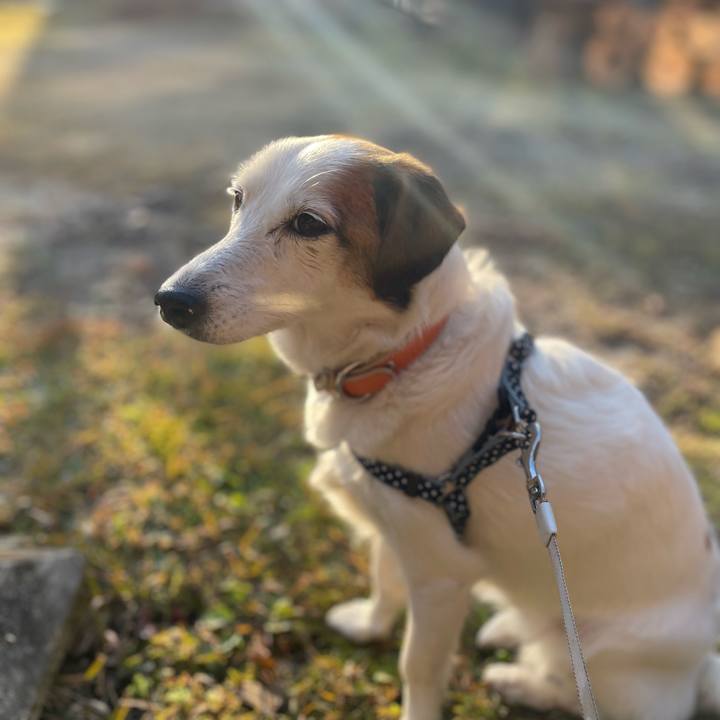 E0a11305 4886 48ad a6c6 62d69c656352 1765752263971