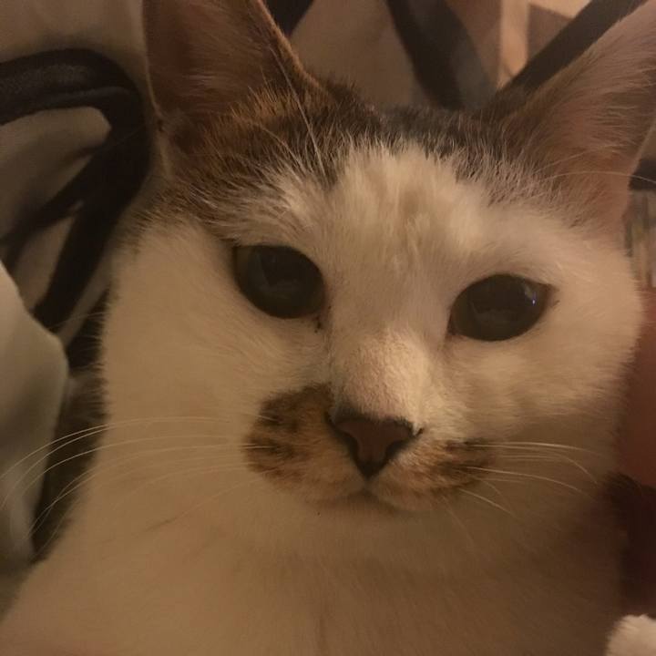 E0a123c6 b3ff 422a 8d5d 1203135825f3 1519288082161