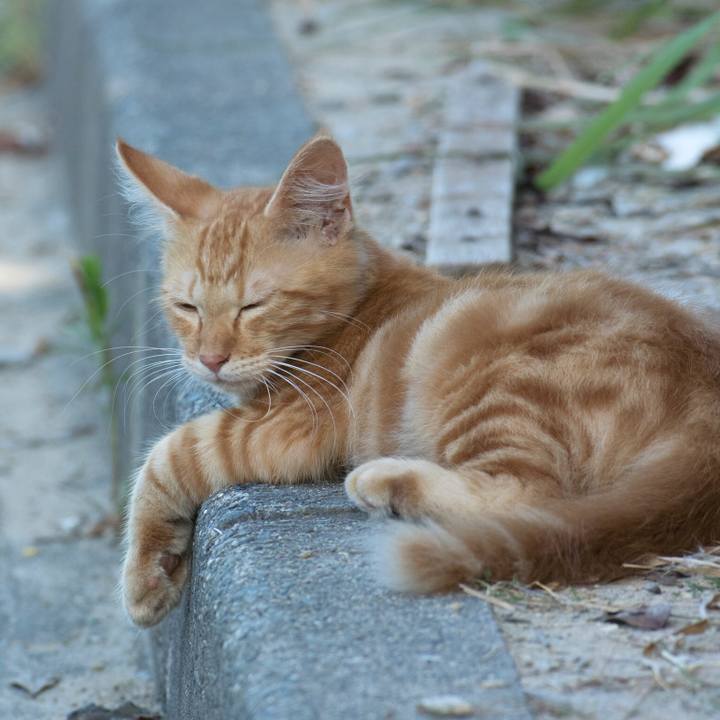 E0a1b528 cfa8 43f2 a8ba 57e096d25665 1534126053807