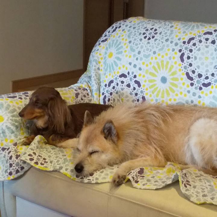 E0a20923 98ae 4d1e 921d 4eb634cfd022 1554250577267