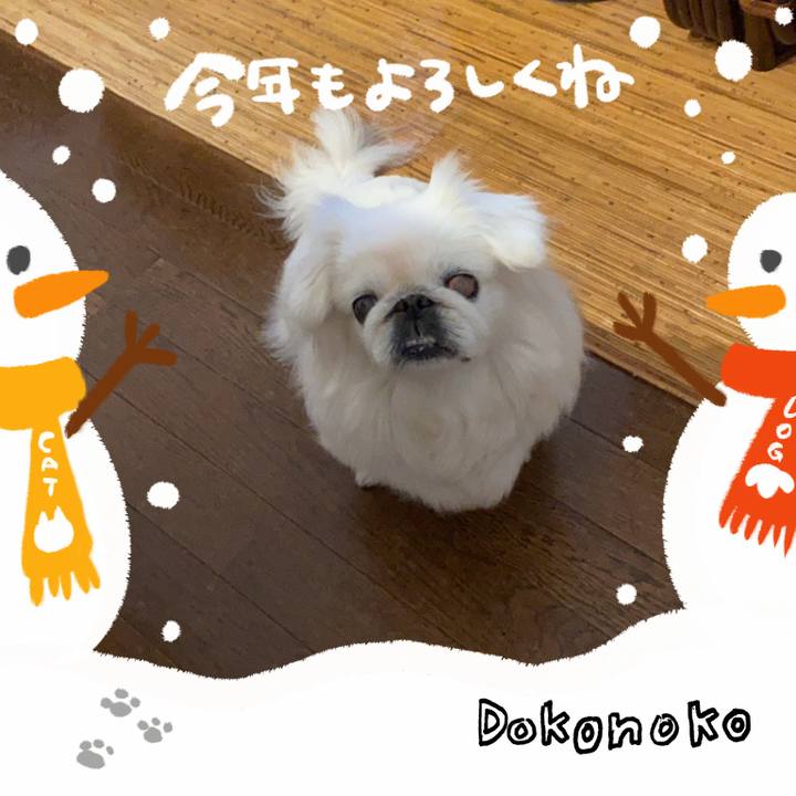 E0a22486 d0f7 47ac 91b2 5288b35f7e6c 1704109366843