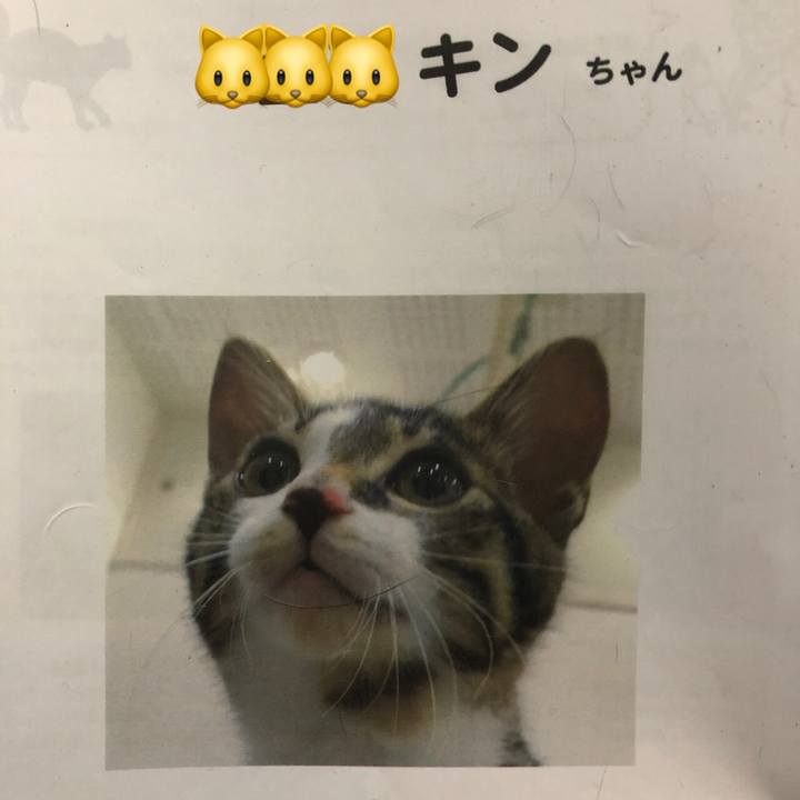 E0a262a7 9af7 499c 80e6 f9fad064f1d9 1626985588207