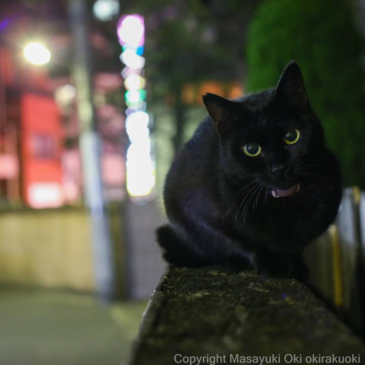 E0a28347 a6f8 420e ab60 bf6e57955536 1586680582030