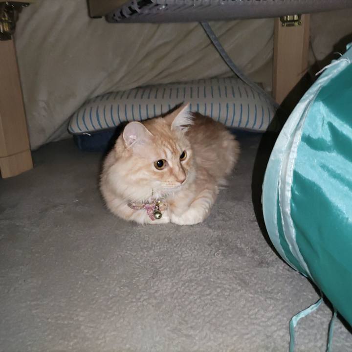 E0a2877f 4184 4929 adf2 909309a28555 1699828517194