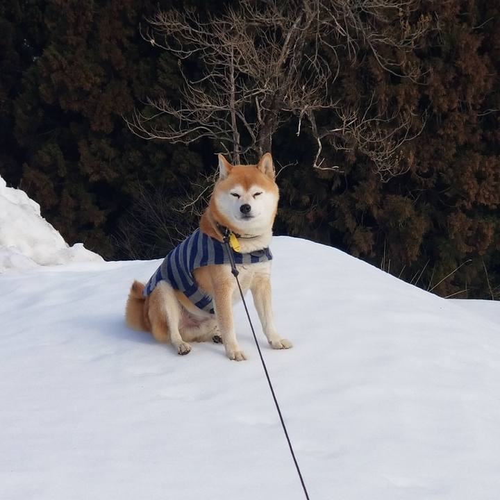 E0a2f2d3 695f 45ff ace4 413cd7c4d842 1611796499414