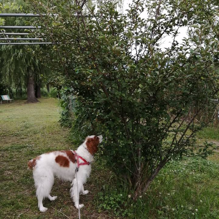 E0a2f2e3 6bdf 4186 91cc ca92e0a0b613 1591171324203