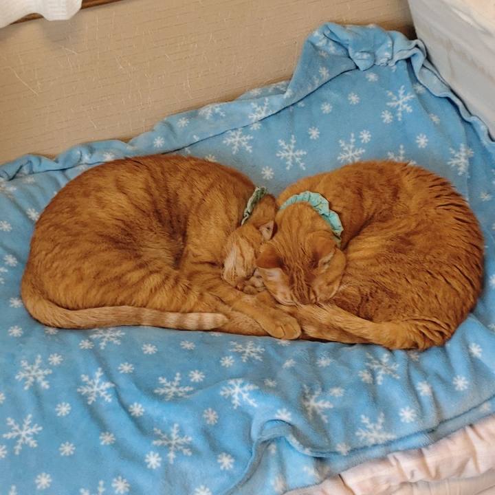 E0a2ffd7 e1d6 4b4c ade0 c85abc9b3d5e 1763712008615