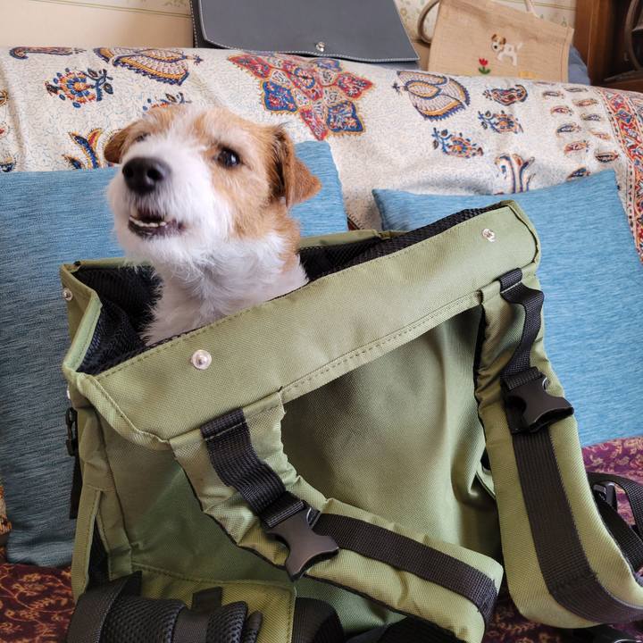 E0a30e1a e764 41a5 8b7c a3d7eaaee06a 1707277976482