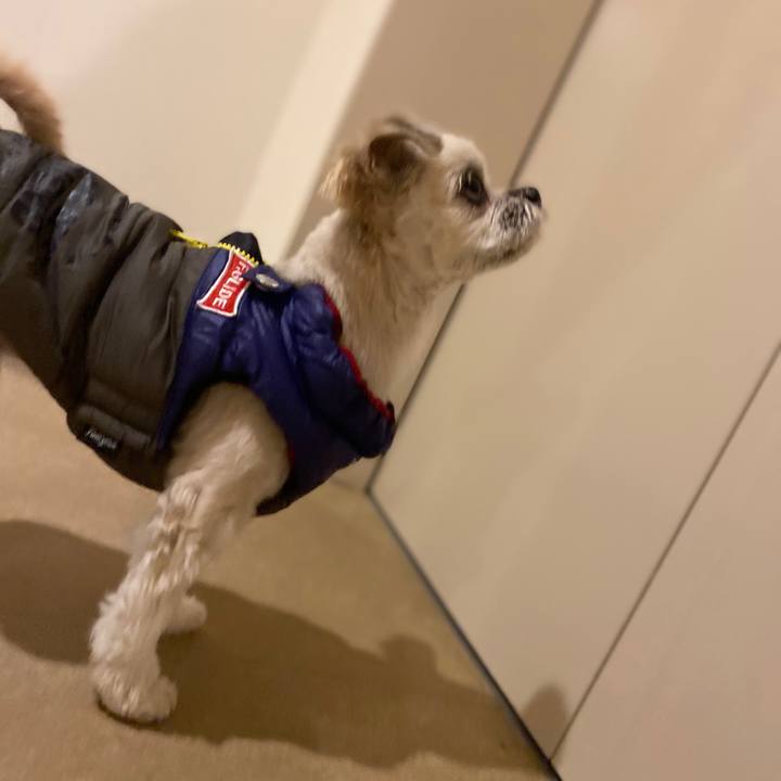 E0a3caca d235 4702 9389 0ee8ecc3af44 1576322151361