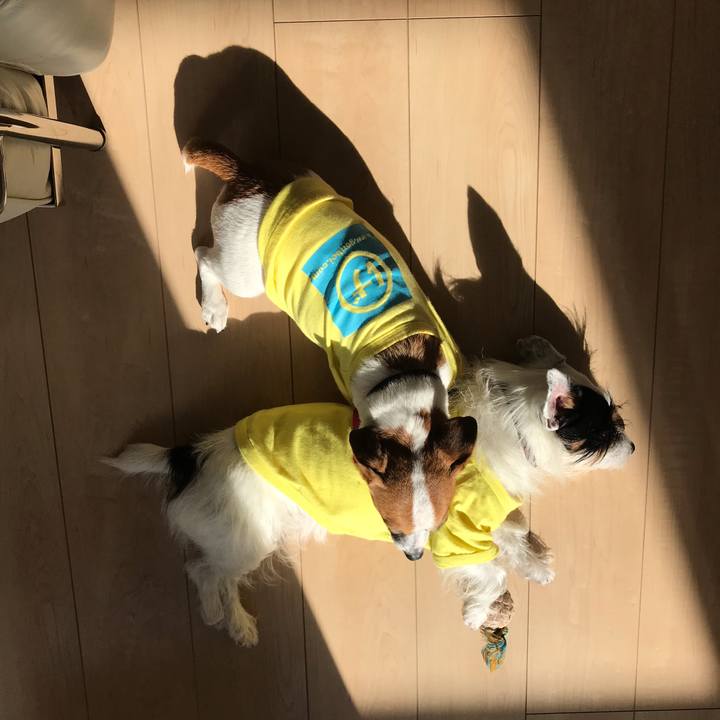 E0a3fad0 c51f 484e 8b42 d2b7b38b272f 1543976273108