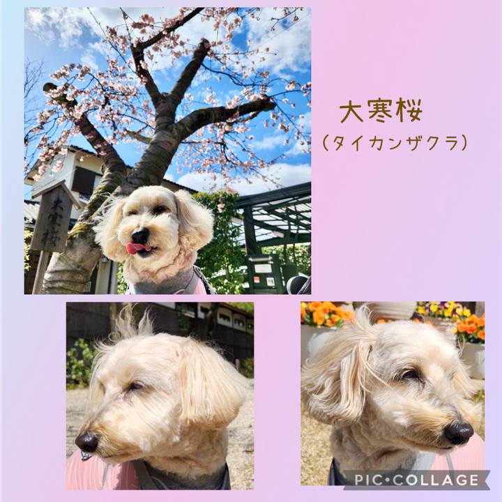 E0a492b9 2ddc 4a61 bffd 36ef548e9a30 1709606294693