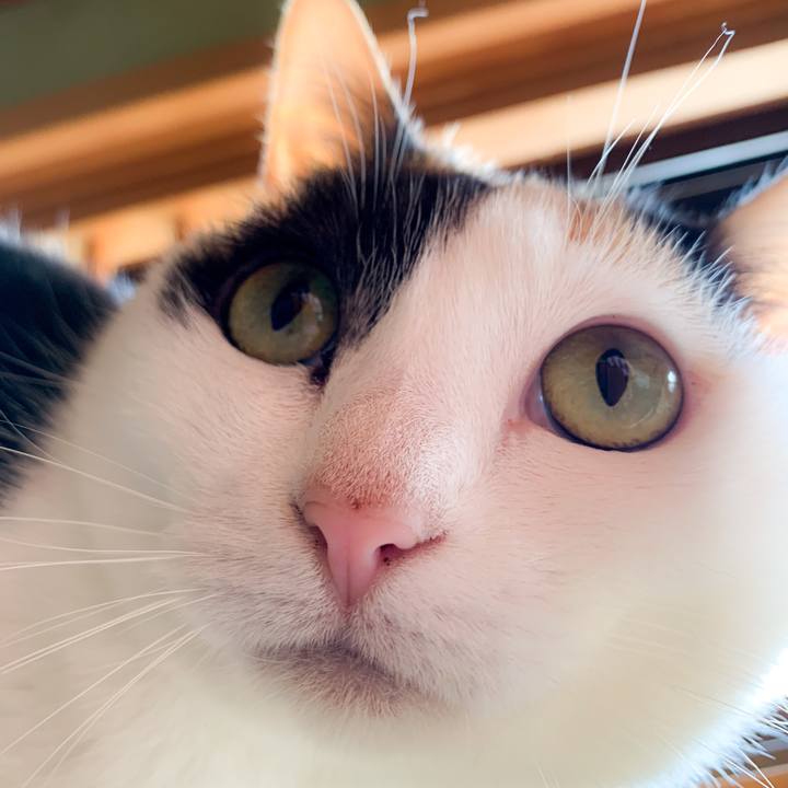 E0a49f6c 0904 41de bc3c 8f3809fa6224 1587429042165