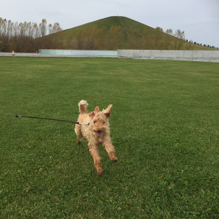 E0a4bd5a 70ee 4737 8c91 26a7cb07b11b 1509235266963