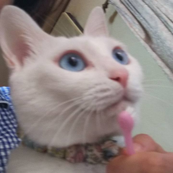 E0a4bf22 bc91 475c b1e9 706520727abd 1626906930358