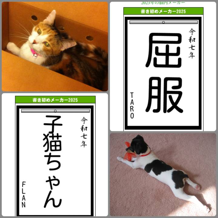 E0a4dfc7 eca7 44fb 9b3d 796ec41c5522 1735890578951