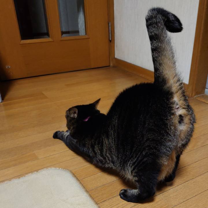 E0a4eafe b051 4685 890e da4e1f4e16a5 1772031026346