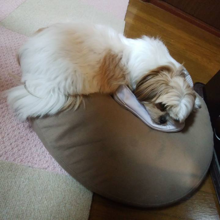 E0a4ff3c 2e6e 4202 843f fae077882301 1512894427612