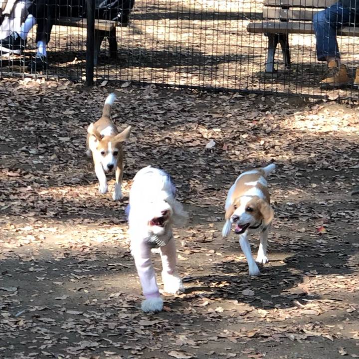 E0a50750 2052 40b5 ad95 3f7aa4f585c5 1573389722097