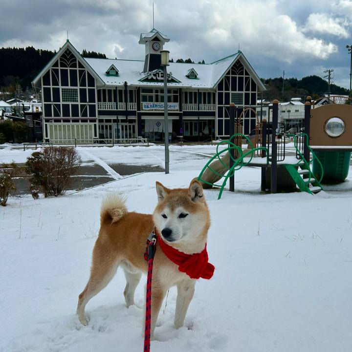 E0a51b5a ac6d 4ec5 9ad8 99453300398a 1738754109629